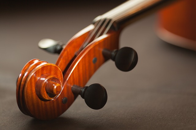 a violin neck